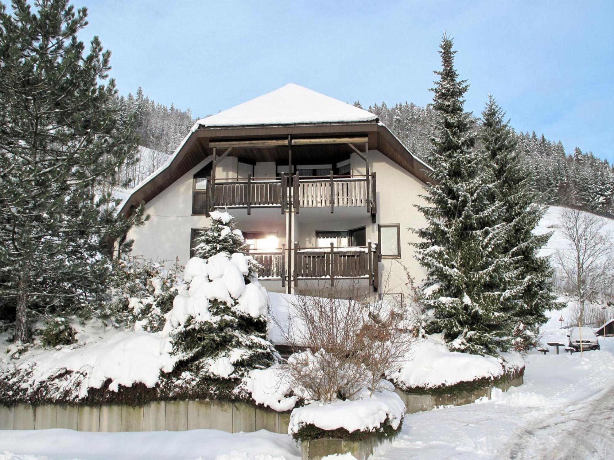 Apartment Sonnenblick II By Interhome Todtnauberg Exterior photo