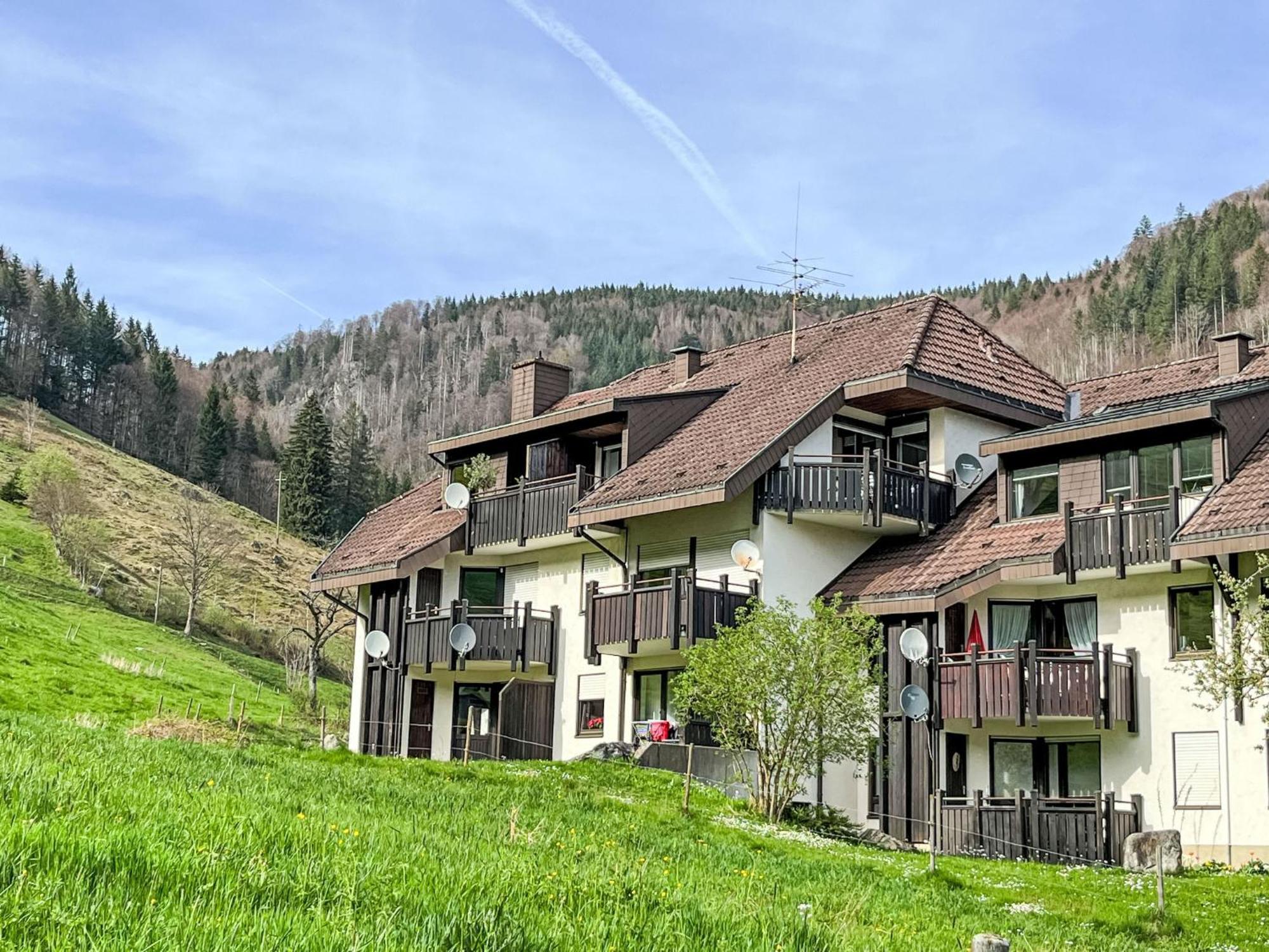 Apartment Sonnenblick II By Interhome Todtnauberg Exterior photo